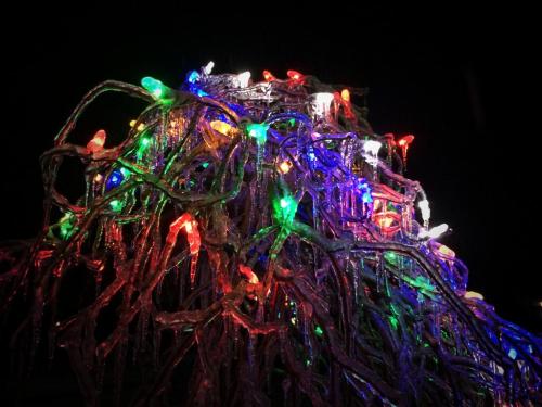 Freezing rain fell for 4 days. Some lost power; there were road accidents; others got to enjoy the beauty.