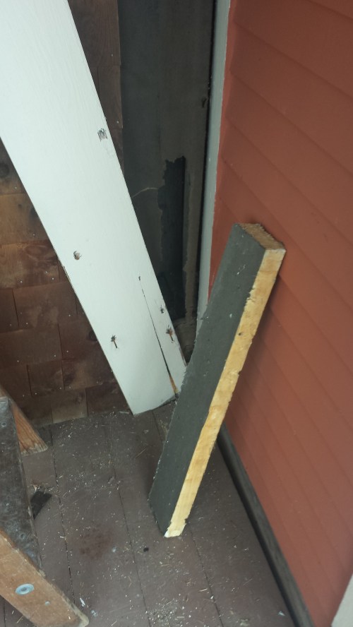 Behind the trim board, leaning away to the left, I did not find the new wall butted up to the old wall, as I expected.  instead, I found this tar paper, which is great because the tar paper keeps the wall dry and it shows that the folks who built the addition did a good job.  But what's that hole in the tar paper at the bottom, and why does it look so ... empty?